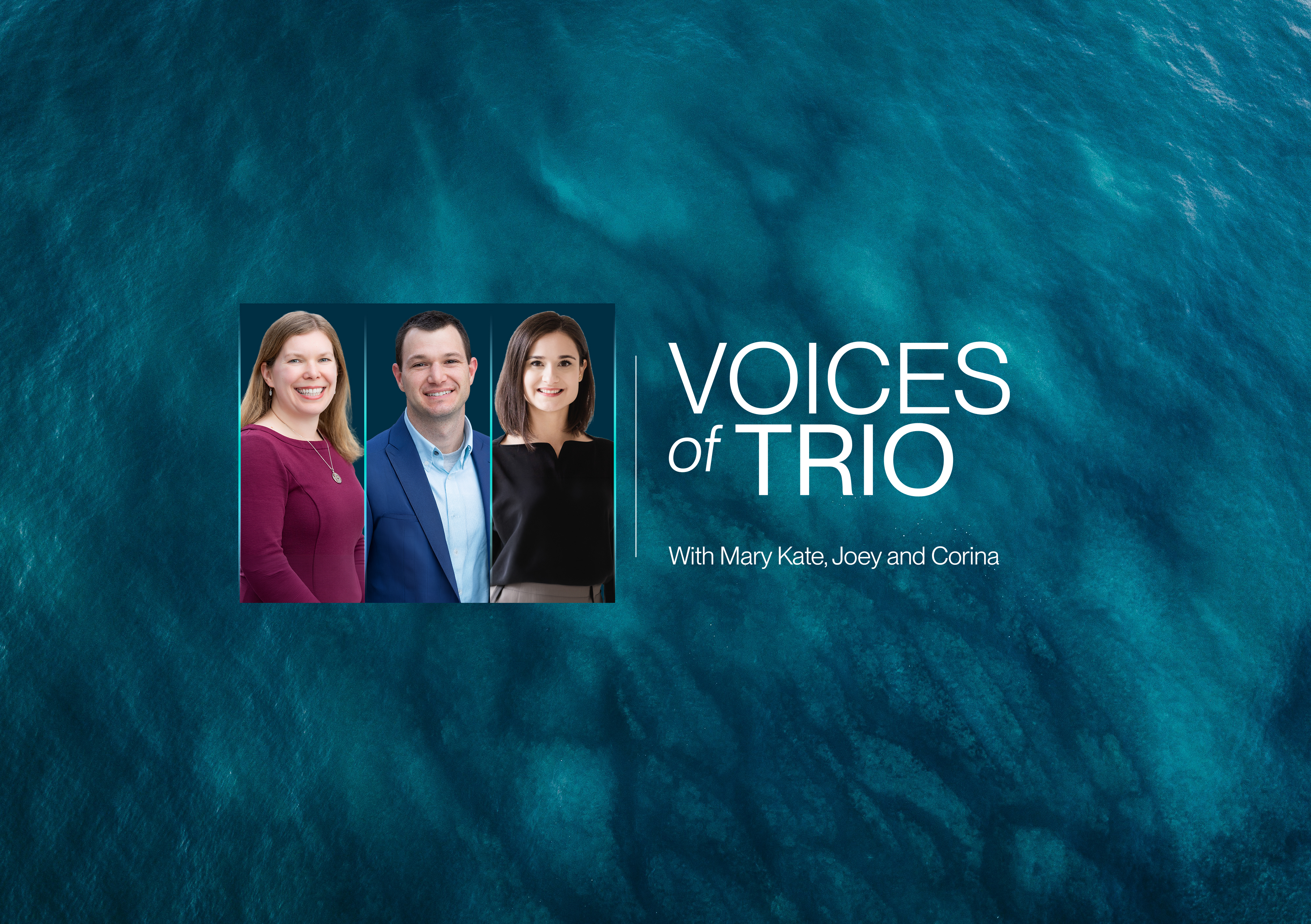 Voices of Trio - Transform Auto: Accelerating Renewable Energy Across the Automotive Supply Chain