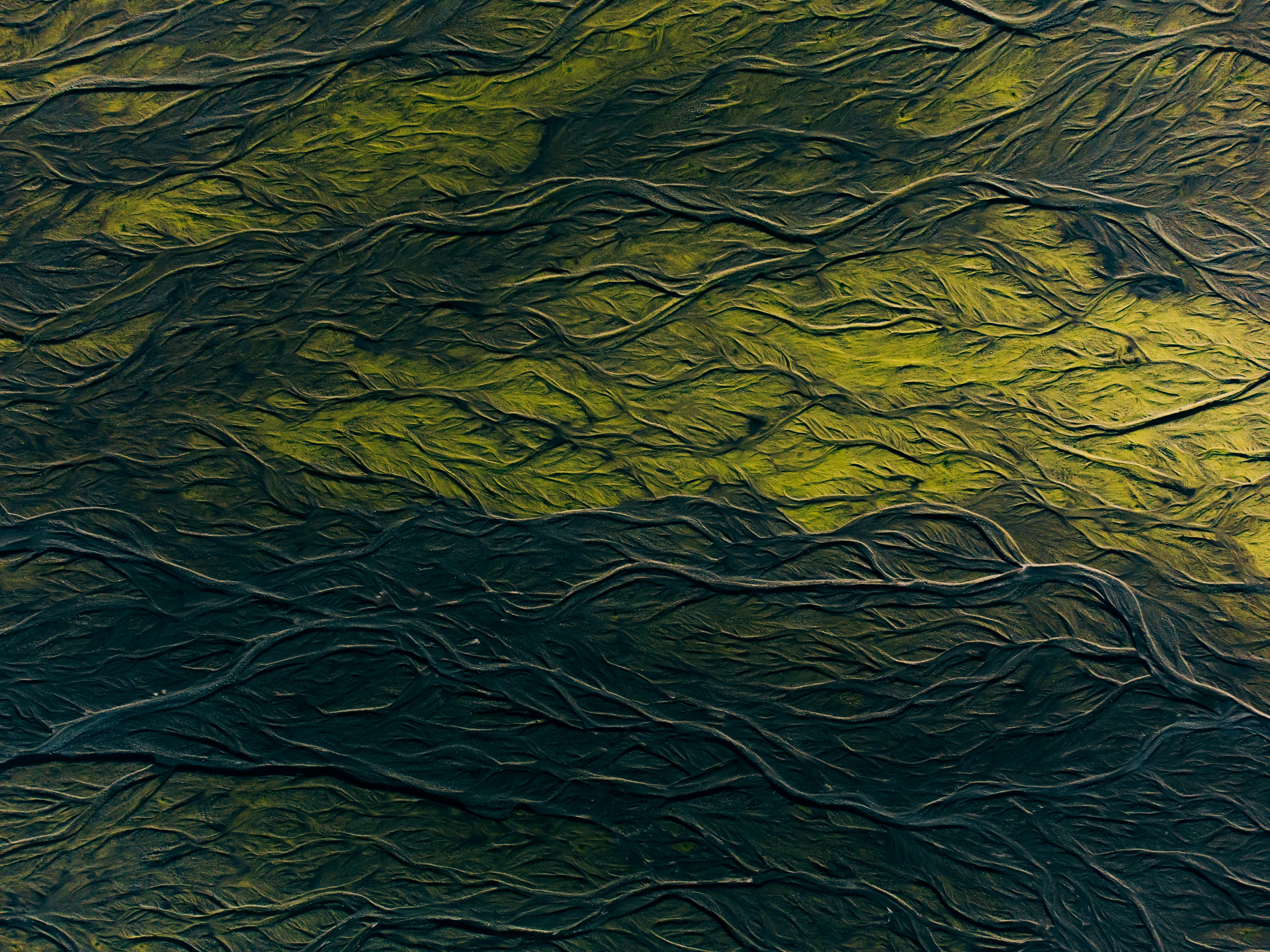 Sustainable Foundations: Understanding Double Materiality in 2025 