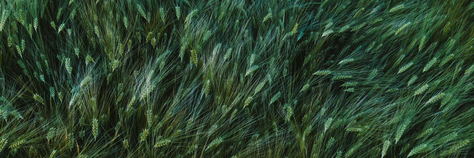 Understanding the Evolving Sustainability Disclosure Landscape: What Business Leaders Need to Know 