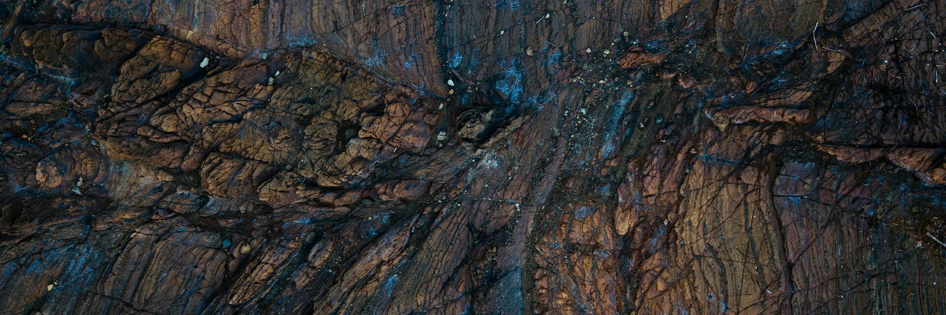 Why Efficiency Can’t Wait: Data-Driven Strategies to Reduce Energy Costs and Accelerate Decarbonization