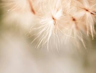 Executive Brief: U.S.–Iran Tensions and Energy Cost