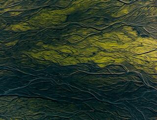 Sustainable Foundations: Understanding Double Materiality in 2025 