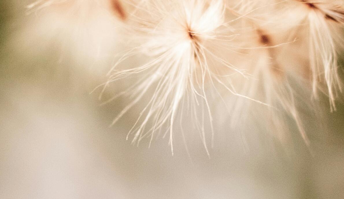 Executive Brief: U.S.–Iran Tensions and Energy Cost