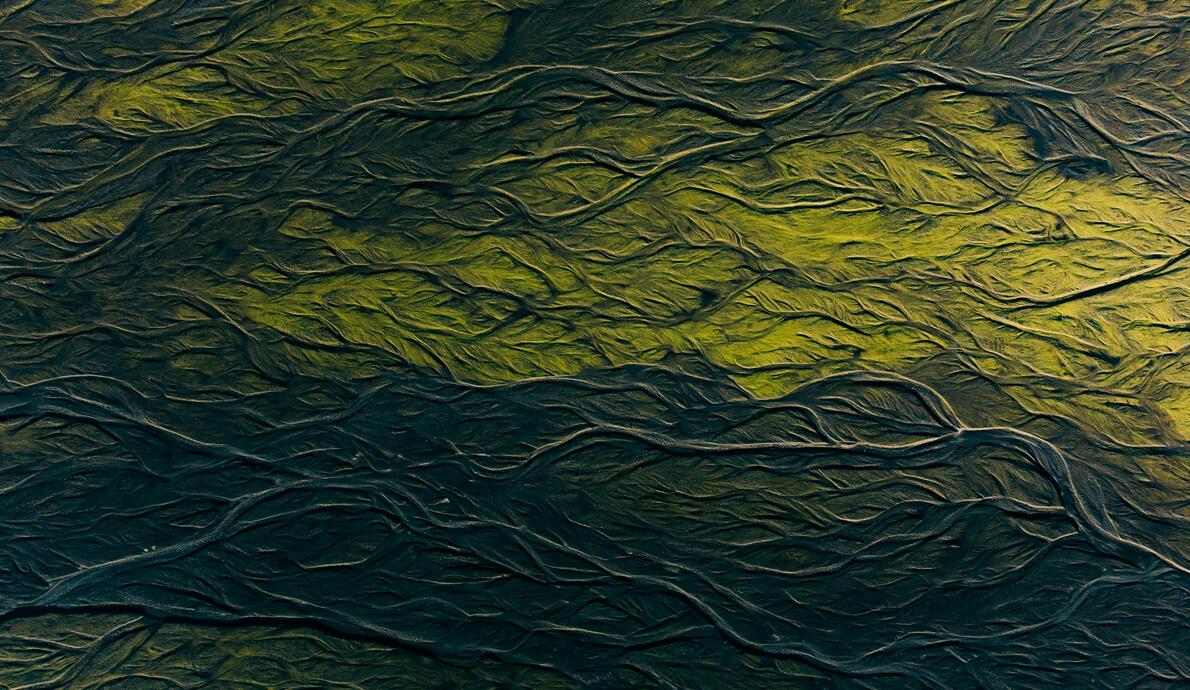 Sustainable Foundations: Understanding Double Materiality in 2025 