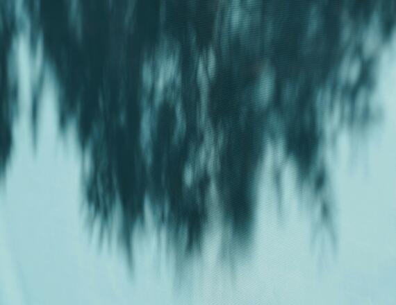 Where is Appalachian natural gas headed — and what forces will shape its trajectory? 