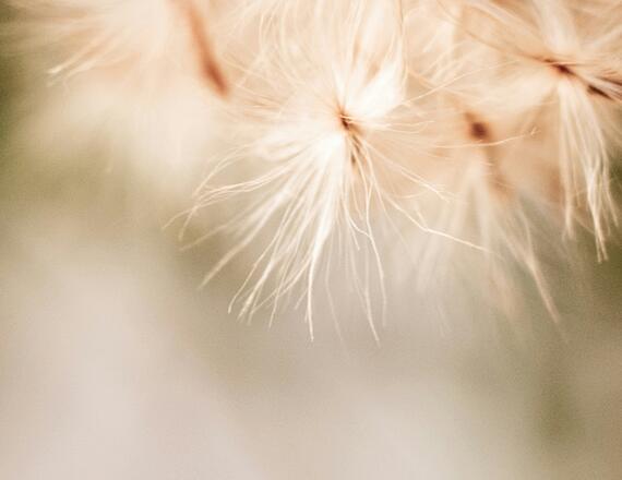 Executive Brief: U.S.–Iran Tensions and Energy Cost